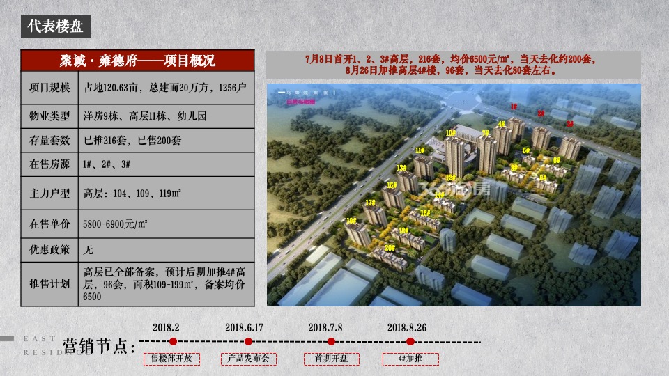 东第府项目推广策略提报 #学府##文脉#和声机构