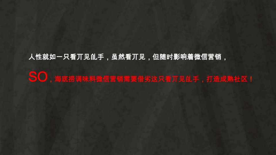 海底捞调味料微信营销战略规划