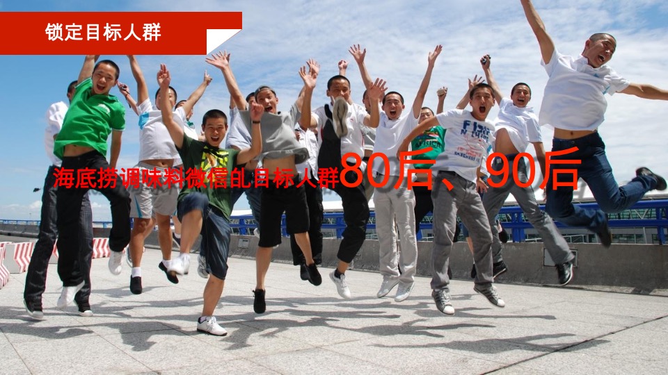 海底捞调味料微信营销战略规划