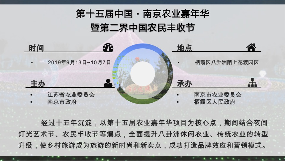 南京八卦洲光影乐园招商方案