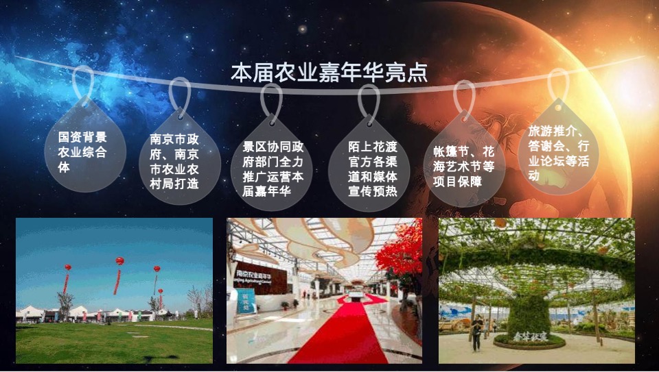 南京八卦洲光影乐园招商方案