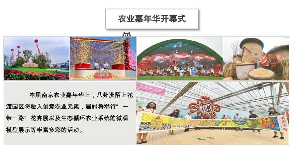 南京八卦洲光影乐园招商方案