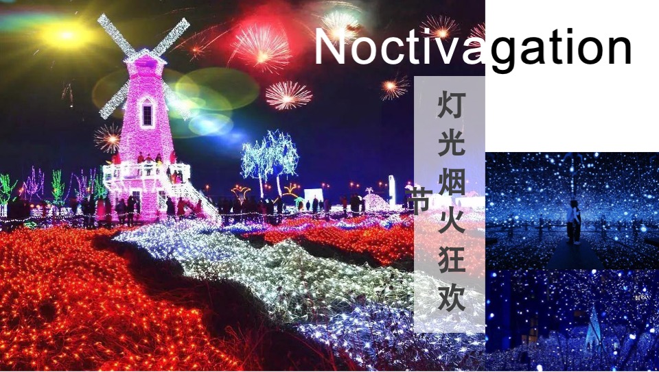 南京八卦洲光影乐园招商方案