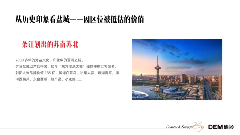 盐城卓越广场推广提报#综合体#