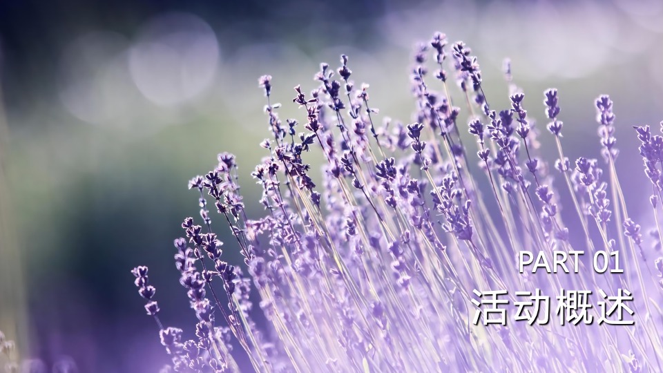 汽车品牌夏日露营音乐节（嗨玩仲夏主题）活动策划方案