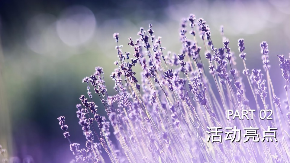 汽车品牌夏日露营音乐节（嗨玩仲夏主题）活动策划方案