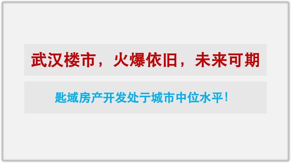 武汉商业综合体青年公寓项目营销提案