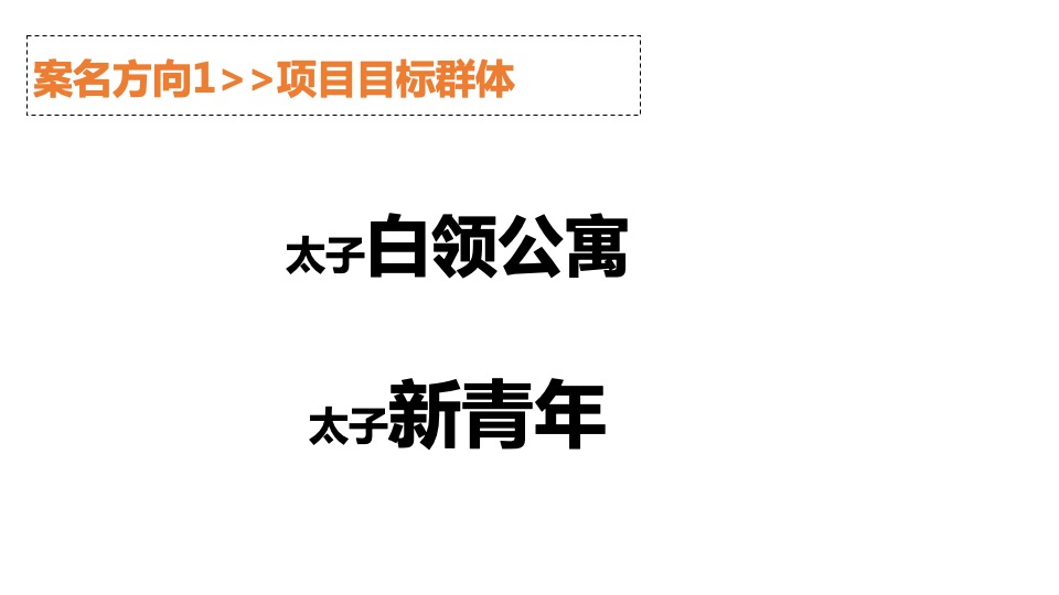 太子中央广场2组团公寓项目案名及视觉推广方案