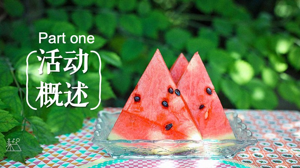 城市夏日草坪露营节（开心一夏去露营主题）活动策划方案