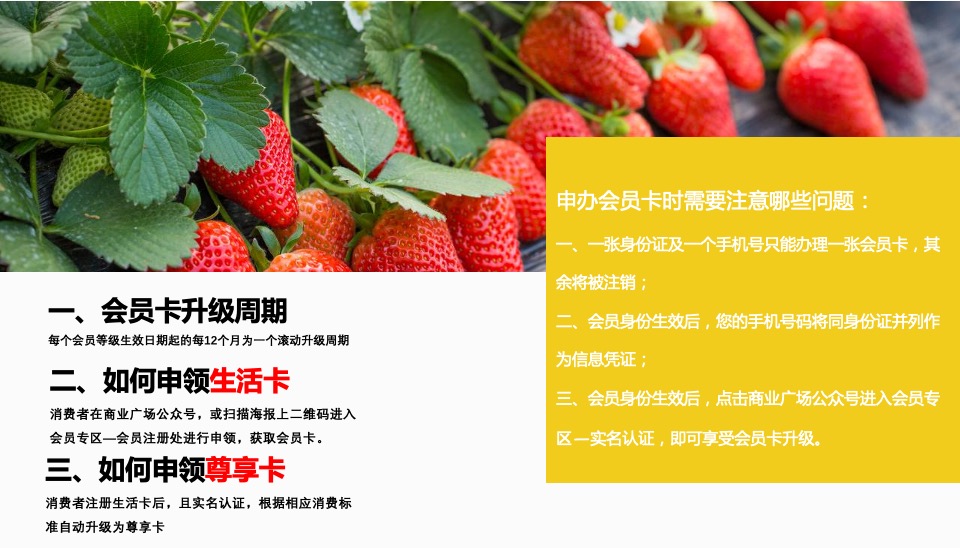 商业广场会员招募计划方案2222