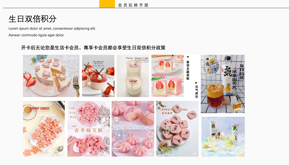 商业广场会员招募计划方案2222