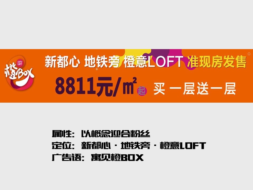 yolo青年公寓广告策略案-深圳心生万物