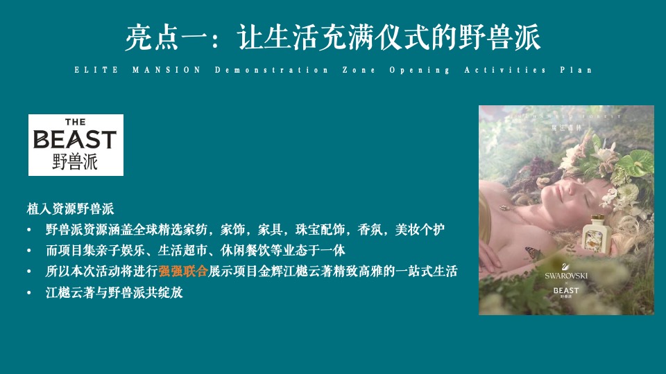 地产项目实景示范区开放（与城市·共著时代芳华主题）活动策划方案