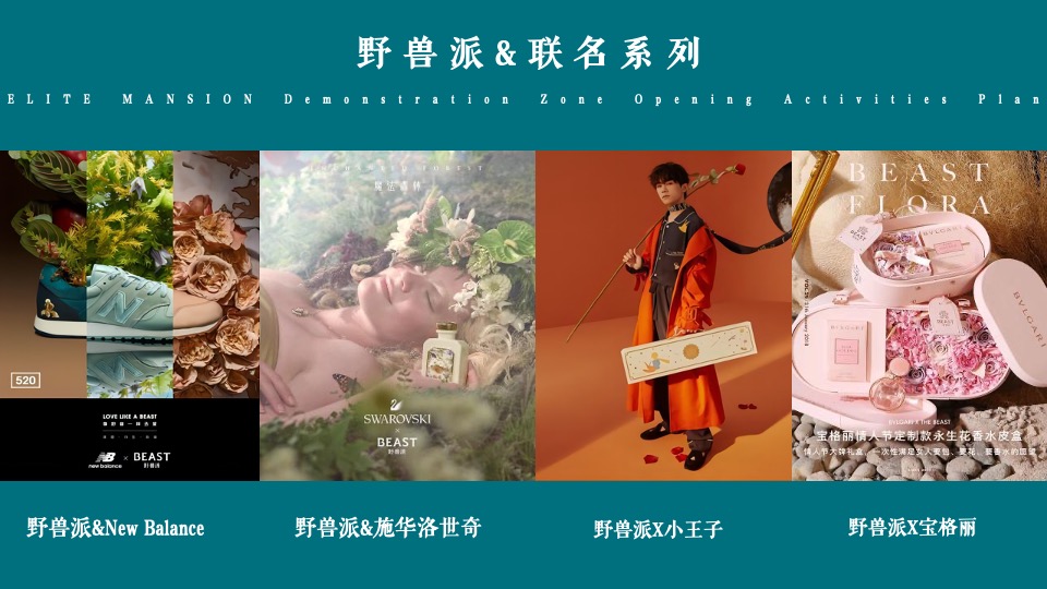 地产项目实景示范区开放（与城市·共著时代芳华主题）活动策划方案