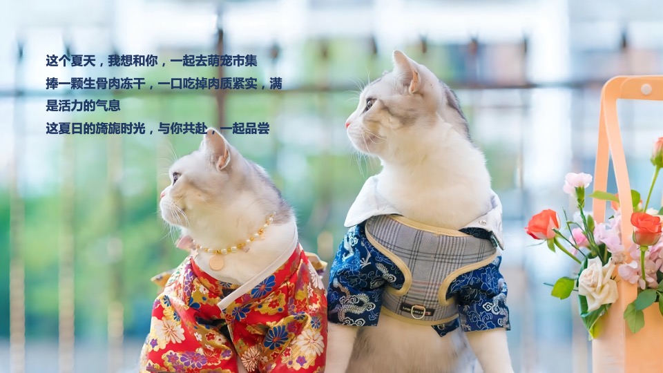 商业广场宠物市集嘉年华（萌宠夏日主题）活动策划方案