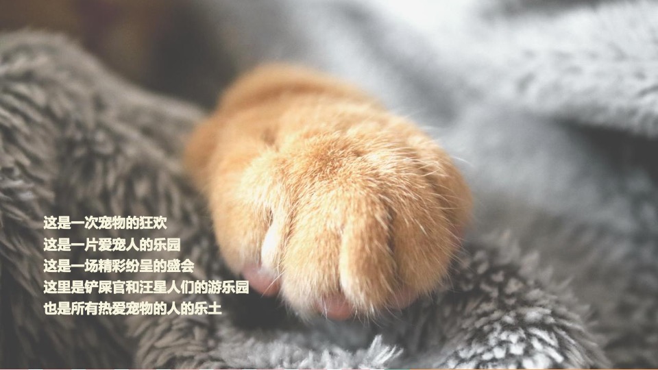 商业广场宠物市集嘉年华（萌宠夏日主题）活动策划方案