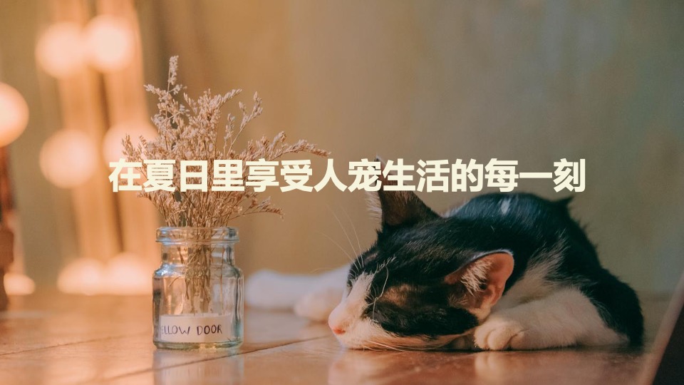 商业广场宠物市集嘉年华（萌宠夏日主题）活动策划方案