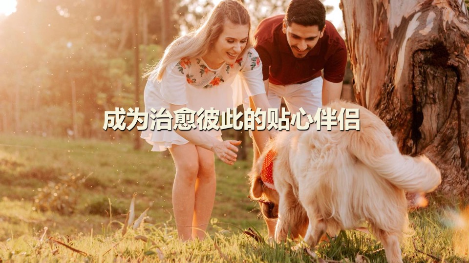 商业广场宠物市集嘉年华（萌宠夏日主题）活动策划方案