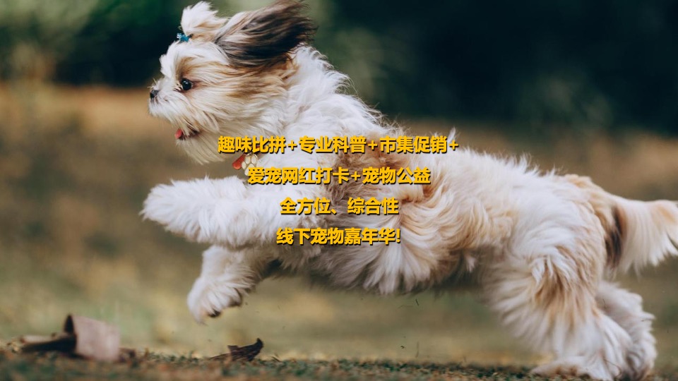 商业广场宠物市集嘉年华（萌宠夏日主题）活动策划方案