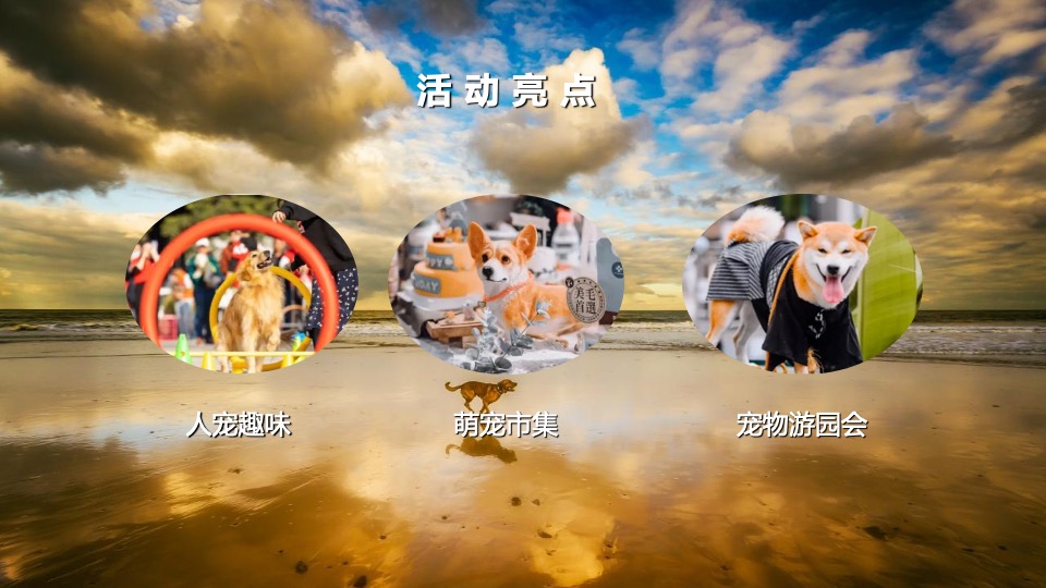 商业广场宠物市集嘉年华（萌宠夏日主题）活动策划方案
