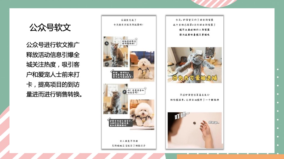 商业广场宠物市集嘉年华（萌宠夏日主题）活动策划方案