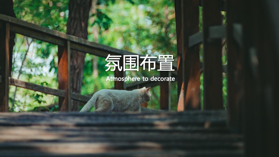 商业广场宠物市集嘉年华（萌宠夏日主题）活动策划方案