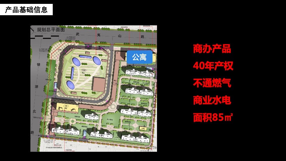 银湖时代公寓推广方案