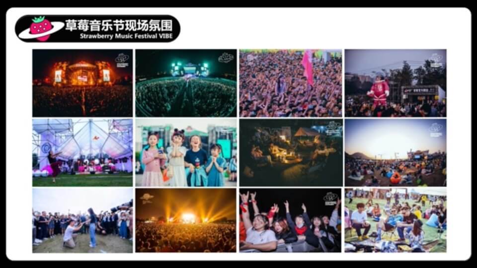 草莓音乐节方案