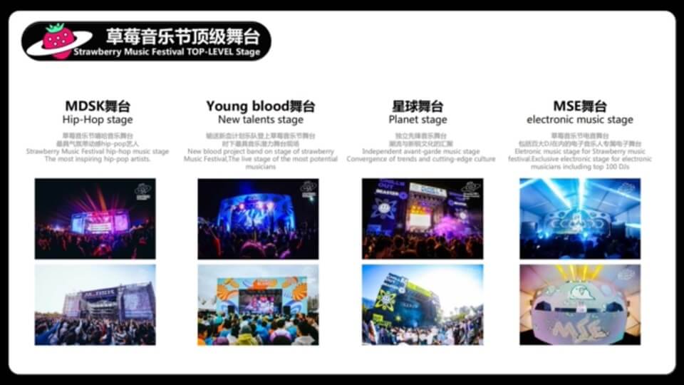 草莓音乐节方案