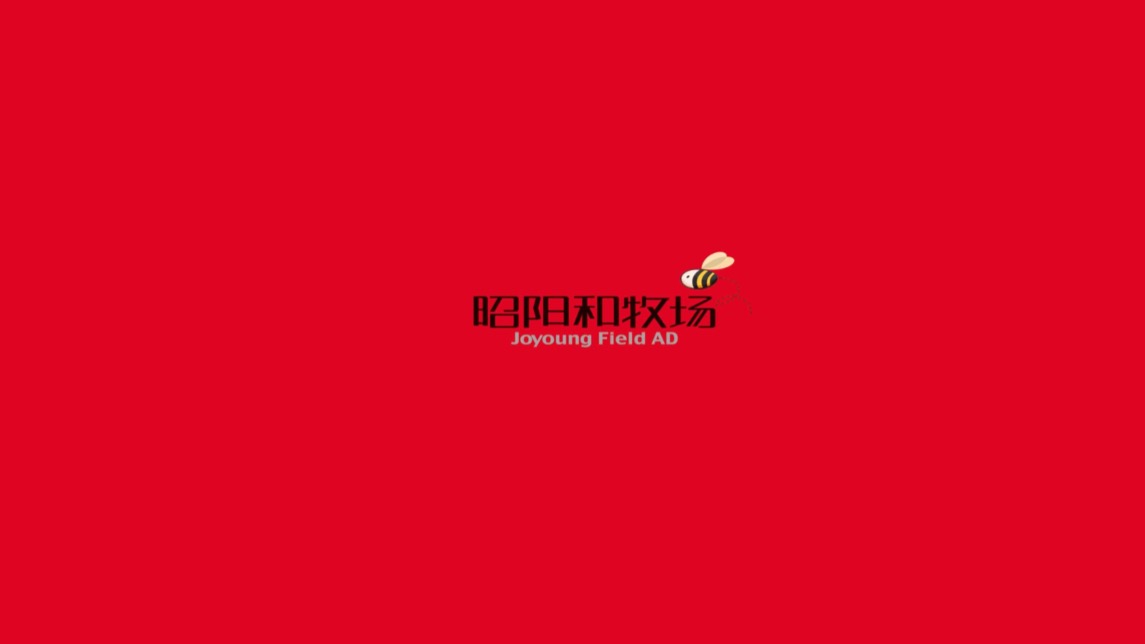 广州合景东道主商业项目推广策略案 公寓 商业-广州昭阳和牧场