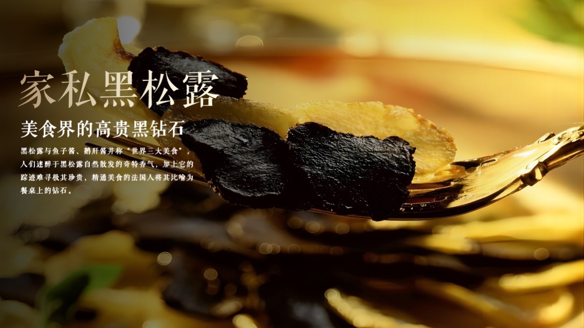 公园壹号高定生活体验暨卡地亚珍宝艺术展活动策划方案