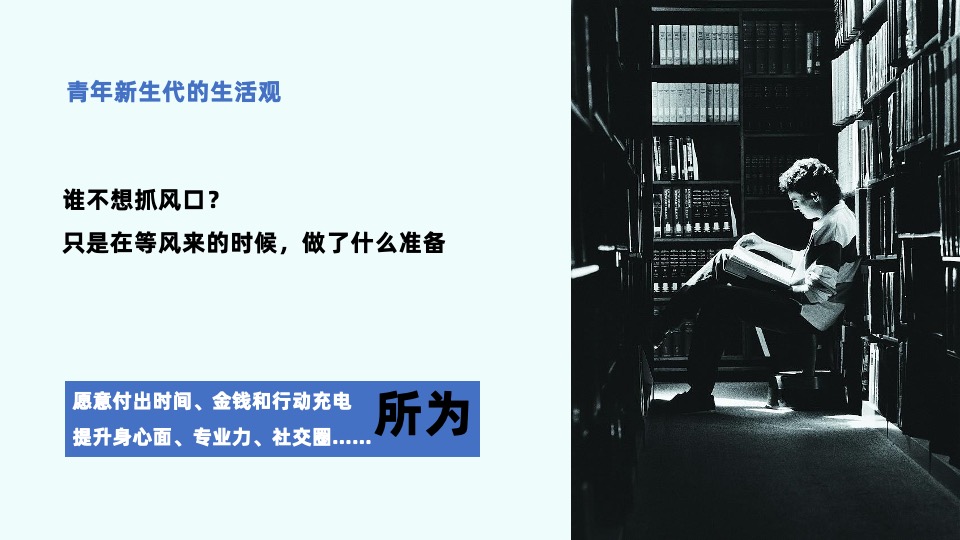 金地北辰两大开发商东西湖项目年度策略推广案