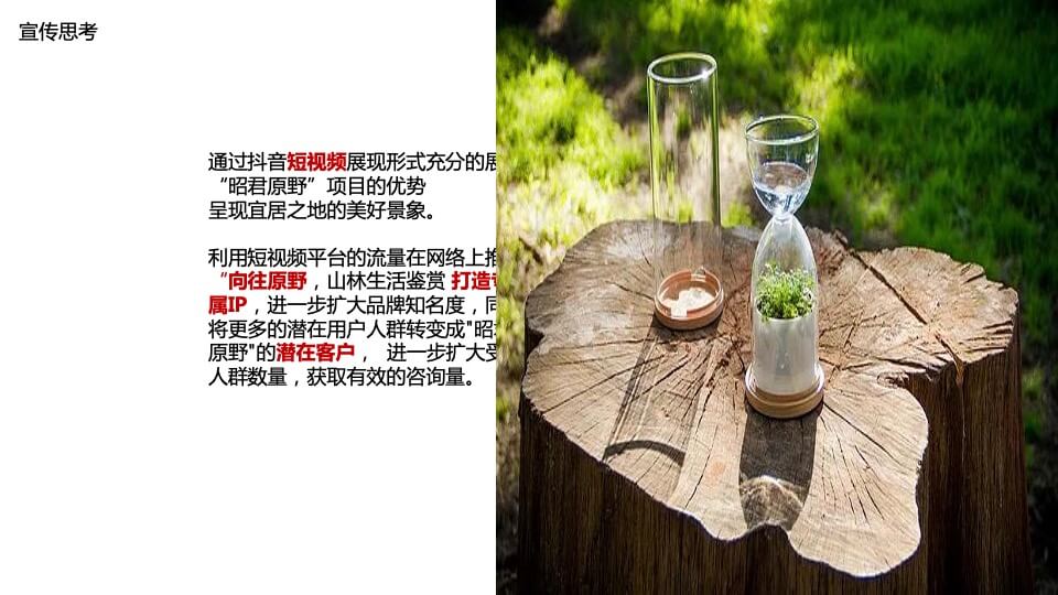 昭君原野国际避暑康养度假区整体营销推广（抖音打造）案