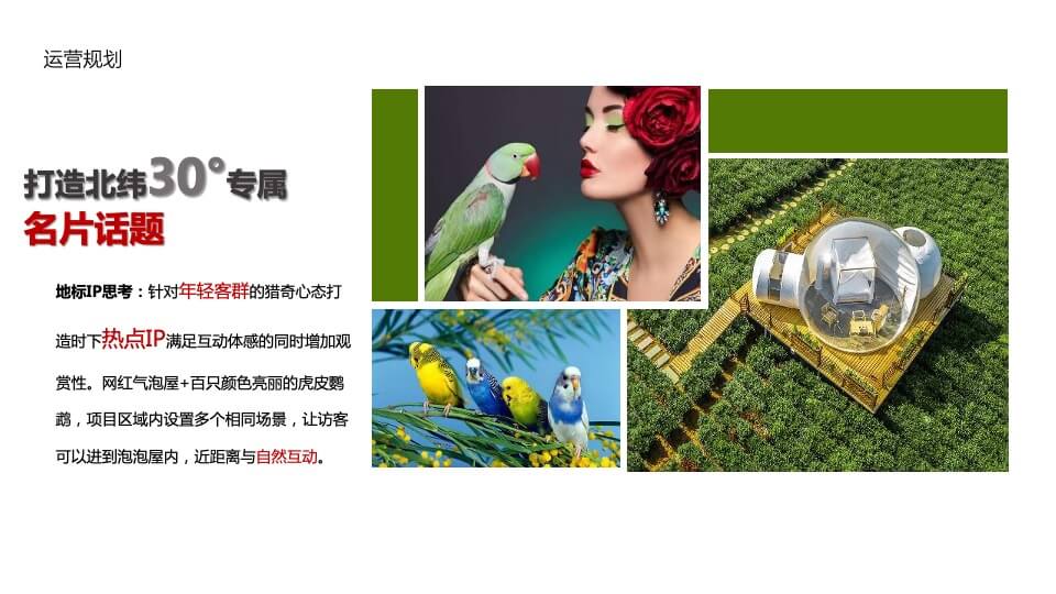 昭君原野国际避暑康养度假区整体营销推广（抖音打造）案