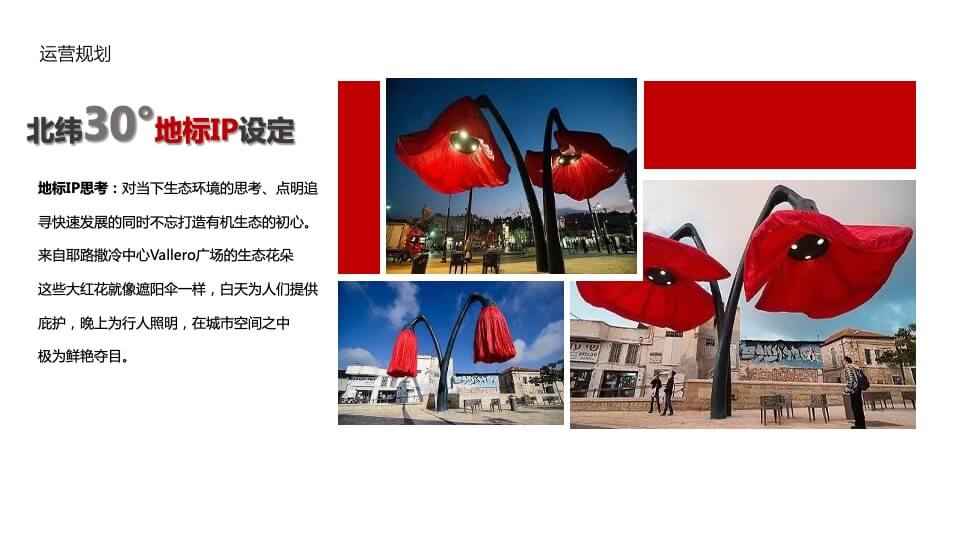 昭君原野国际避暑康养度假区整体营销推广（抖音打造）案