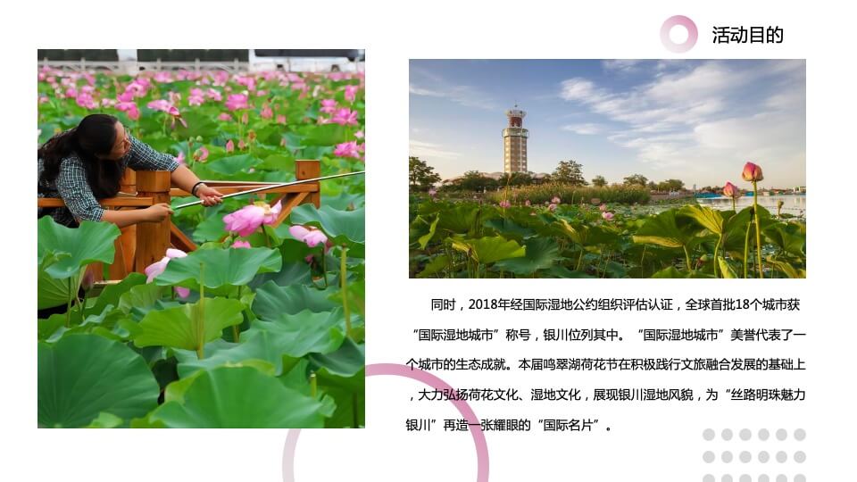 文旅景区第三届荷花文化旅游节（家“荷”万事兴主题）活动策划方案