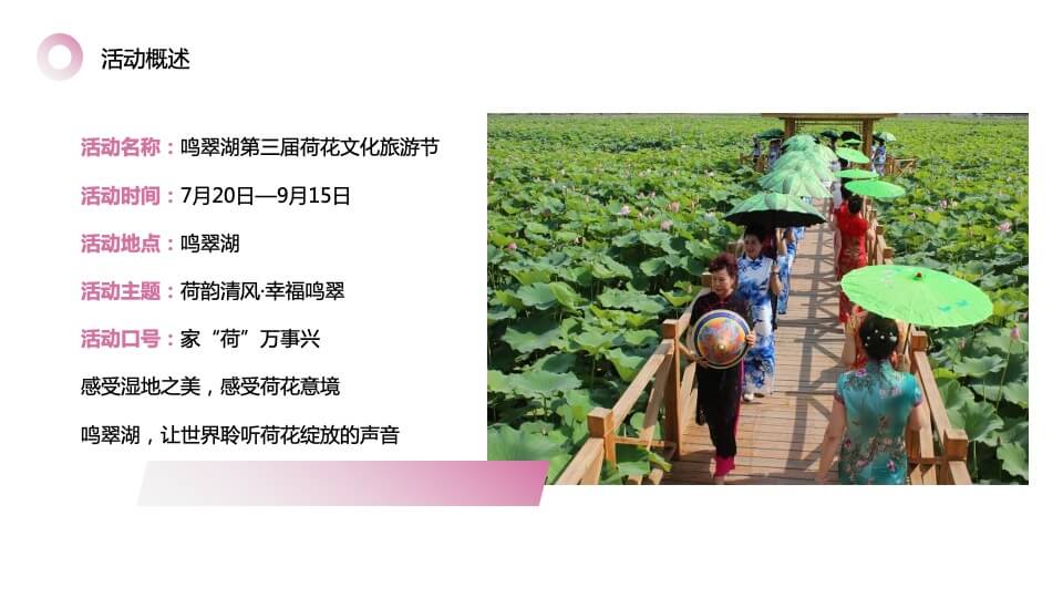 文旅景区第三届荷花文化旅游节（家“荷”万事兴主题）活动策划方案