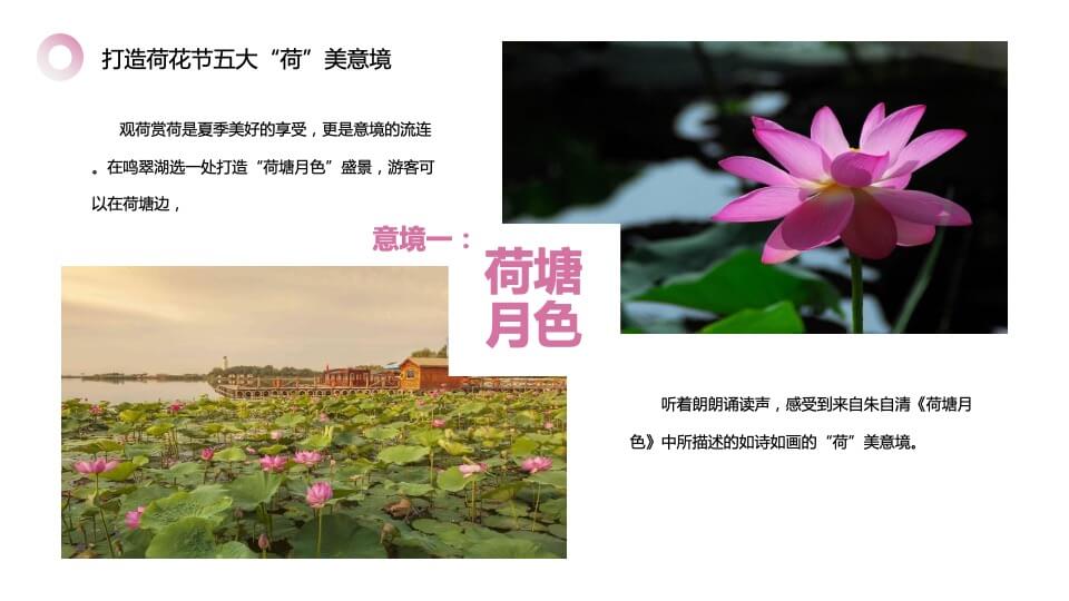 文旅景区第三届荷花文化旅游节（家“荷”万事兴主题）活动策划方案