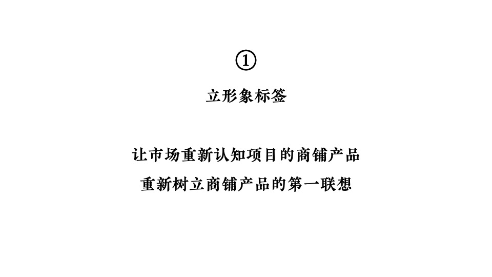 【推广】鼎盛养生文化园月度商铺推广思路
