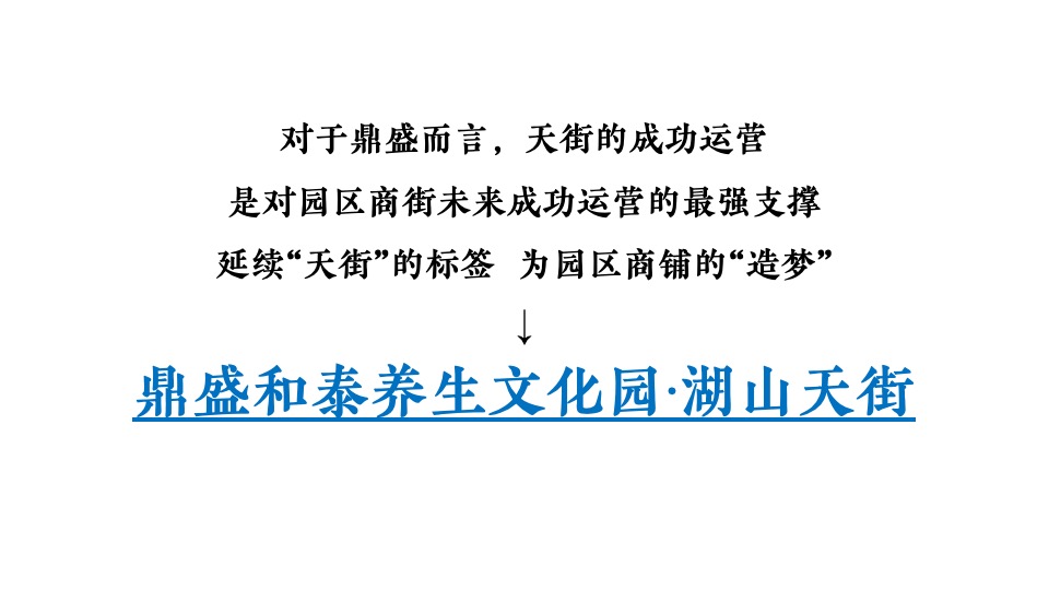 【推广】鼎盛养生文化园月度商铺推广思路