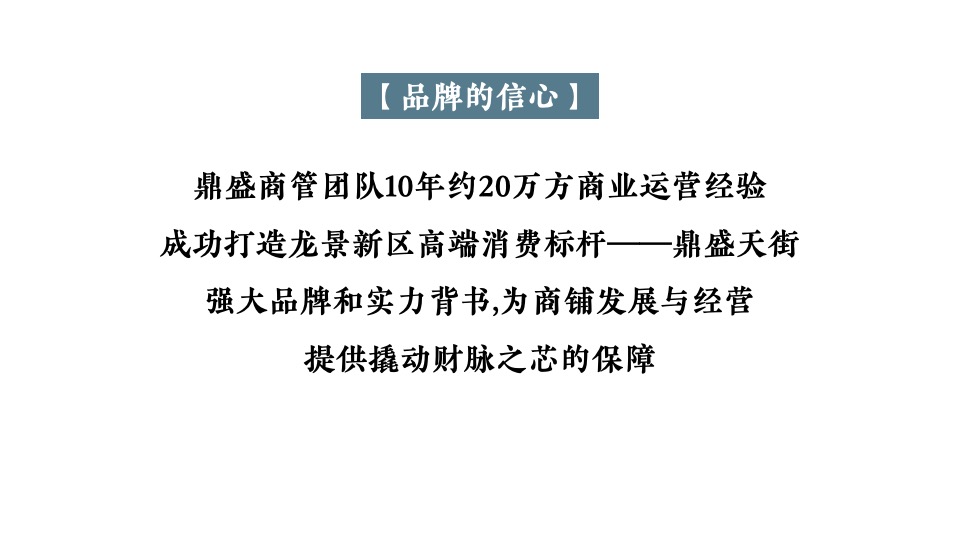 【推广】鼎盛养生文化园月度商铺推广思路