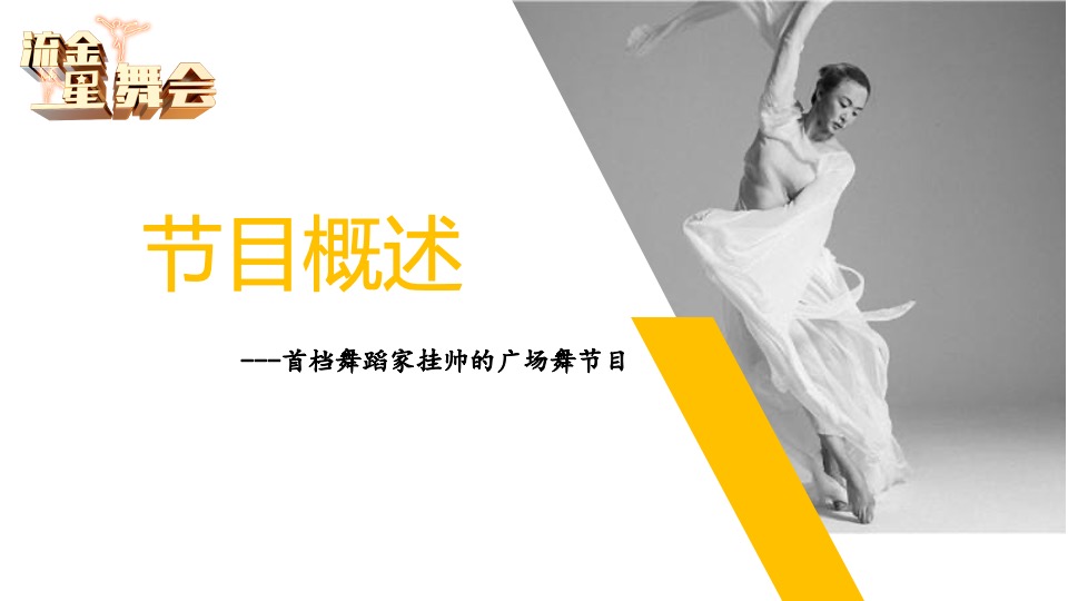 深圳卫视《流金星舞会》节目方案