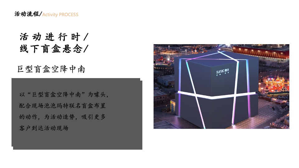 地产项目品牌体验日暨泡泡玛特限定盲盒节主题活动策划方案