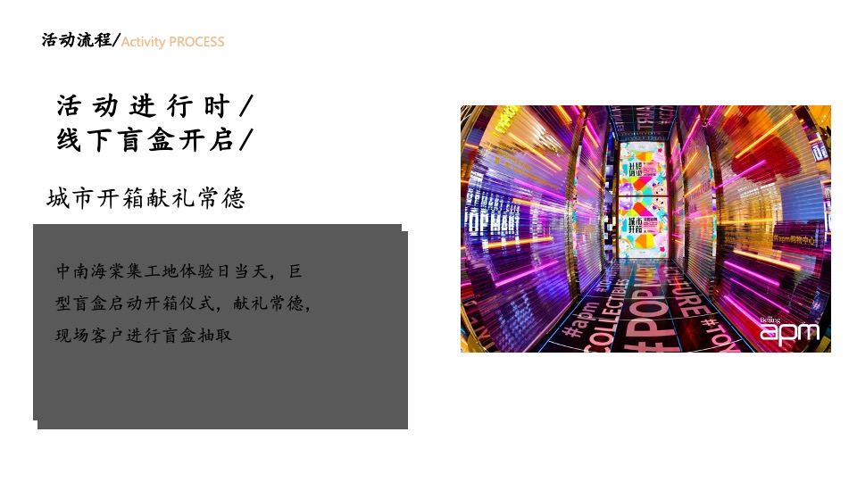地产项目品牌体验日暨泡泡玛特限定盲盒节主题活动策划方案