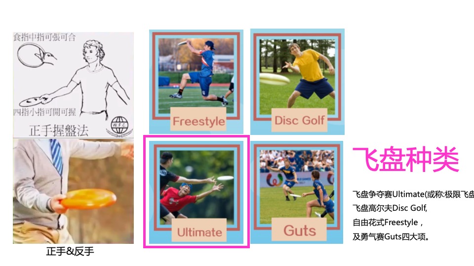 地产项目潮流运动专场定制（极限飞盘 放肆一夏主题）活动策划方案