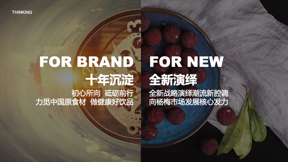 企业转型发展战略发布会暨十周年庆典&全年活动规划方案