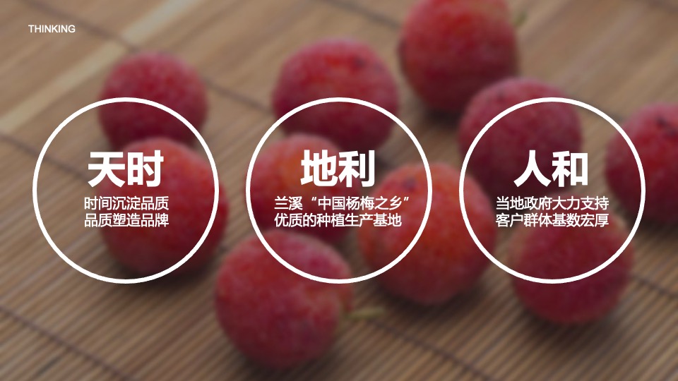 企业转型发展战略发布会暨十周年庆典&全年活动规划方案