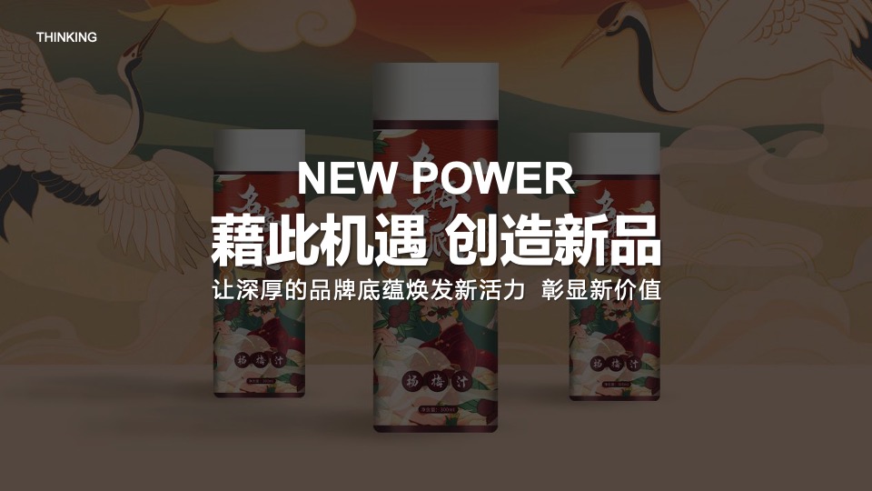 企业转型发展战略发布会暨十周年庆典&全年活动规划方案