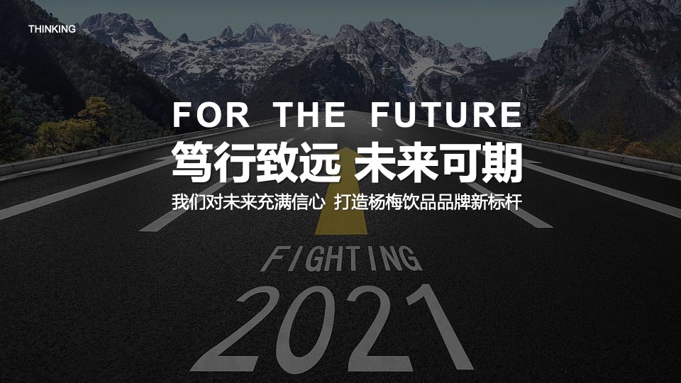 企业转型发展战略发布会暨十周年庆典&全年活动规划方案