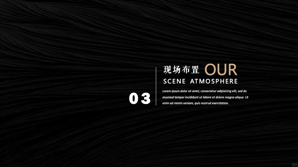 地产项目示范区开放（时尚之夜主题）活动策划方案